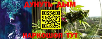 стаф Шебекино