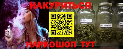 стаф Шебекино