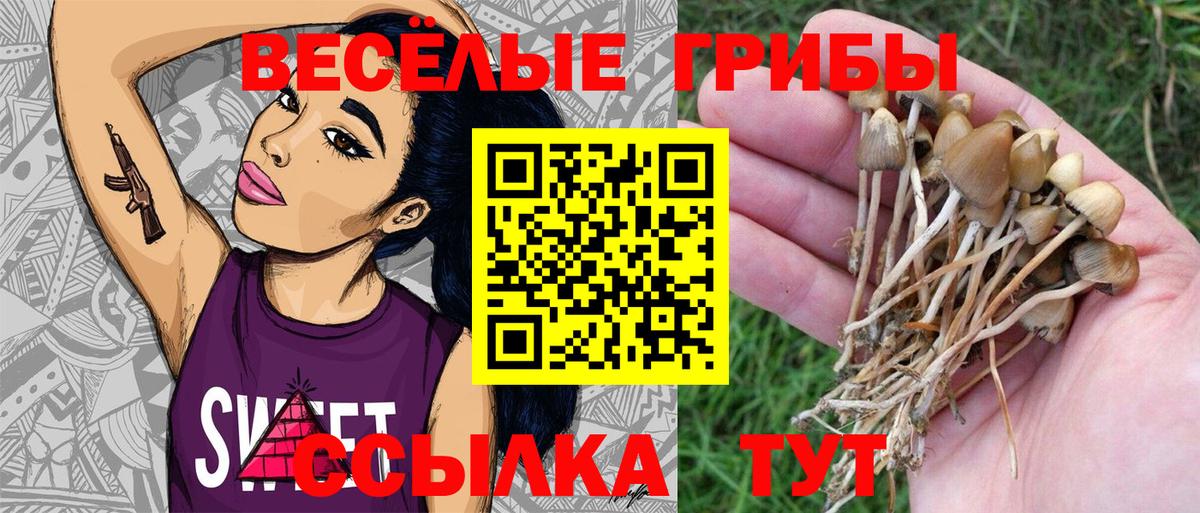 Псилоцибиновые грибы Cubensis Ишимбай